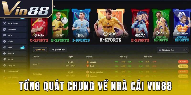 Tổng quát chung về nhà cái Vin88